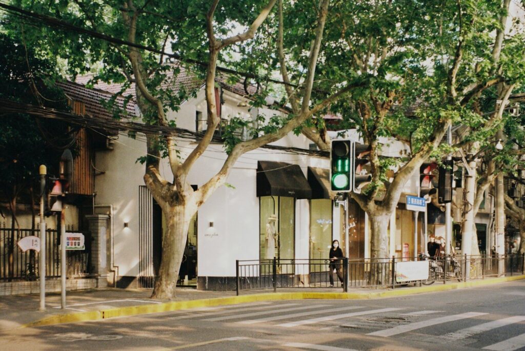 green and brown tree near white building,traditional Shanghai street.