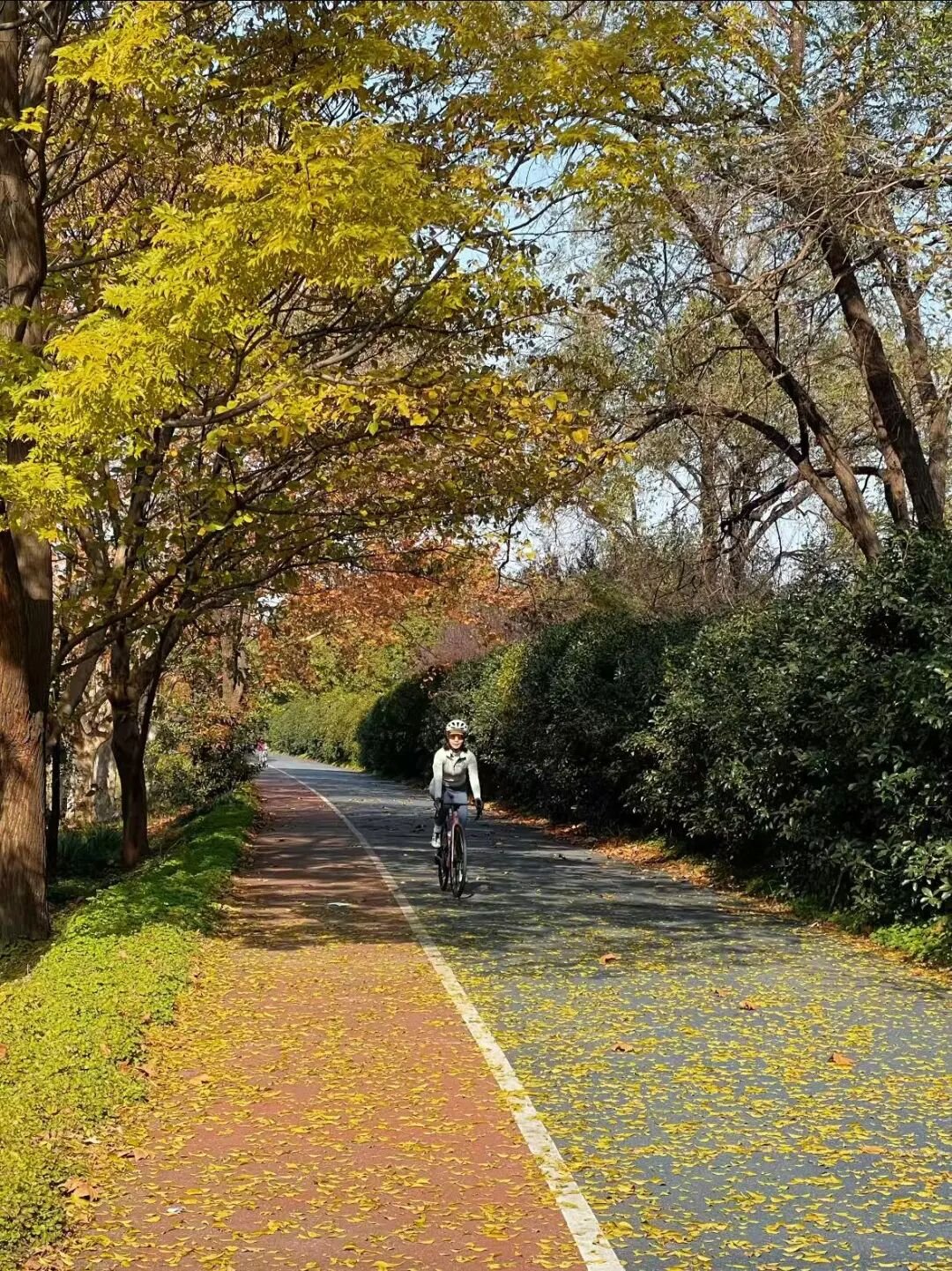 Miaojiang Road cycling route